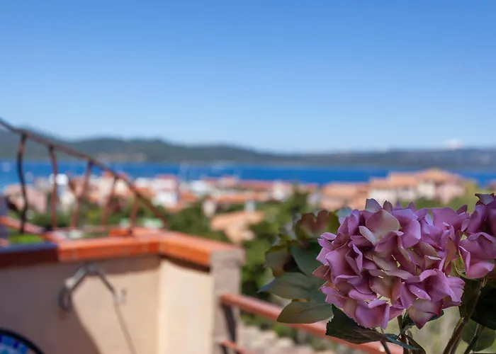 Free Parking - Sea View - Porto Rotondo Apartment